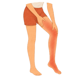 Illustration – Membres inférieurs